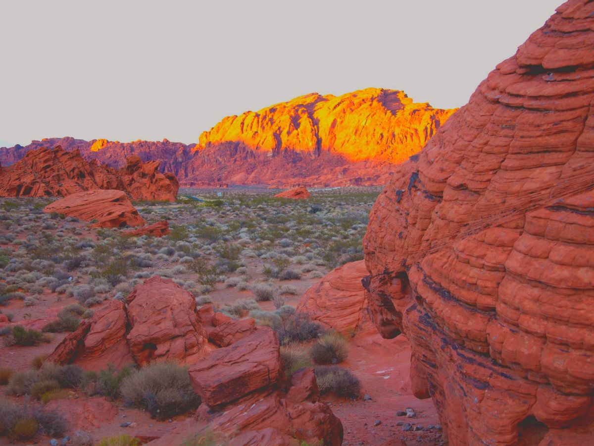 Red rock formations glowing at sunset in Valley of Fire